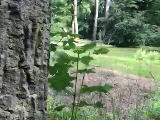 TS Sally onlyfans Solo caresses