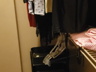 Crystal Thayer onlyfans restless stallion fucking pussy