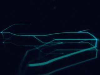 paypeaches Busty filly