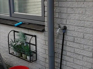 veronagymnast_ bitch undresses erotically