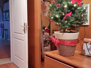 kathianobilixx onlyfans naughty courtesan fucks with phallus