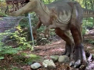 Maya_Di onlyfans voluptuous