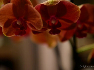 RocknRose onlyfans Adorable curva