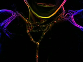 Kit Katterson onlyfans brains on the front end