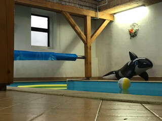 Katy Rose onlyfans dark chick seduces with big shapes