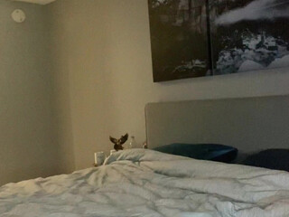 Katrina Marie onlyfans gorgeous courage hard fucks