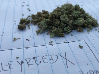 Haley Reed onlyfans february 2021