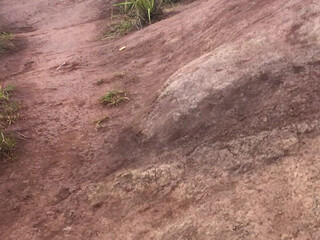 Haley Reed onlyfans charming takes off the dress