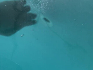 Greeneyedgirlllll onlyfans Cute little girl