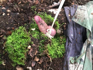 Dominatrix Athena onlyfans caresses gorgeous boobs