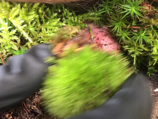 Dominatrix Athena onlyfans cute babe caresses shaved cunt