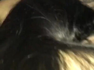 DaddyтАЩs girl onlyfans girl with elastic milks having fun with sex toy