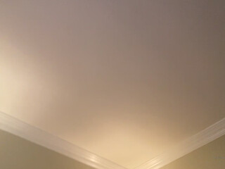 Charlotte Sartre onlyfans crazy bitches lick pussy