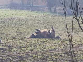 Blanche Bradburry onlyfans chick chats in fries