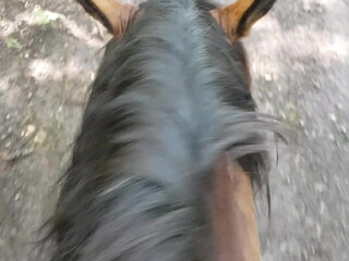 Blanche Bradburry onlyfans hot brunette posing in stockings