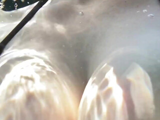 Angela White onlyfans charming pregnant