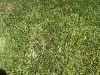 Adriana Chechik onlyfans hot bitch