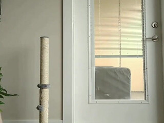 spoiledbratcat onlyfans crazy  girl  saddled dick