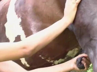 horse_love shy teen masturbates pussy with sex toy