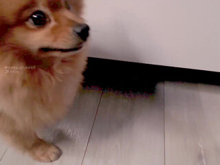 moniquetyler69 immaculate female posing nude