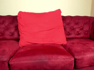 hot_hayde Coveted chick