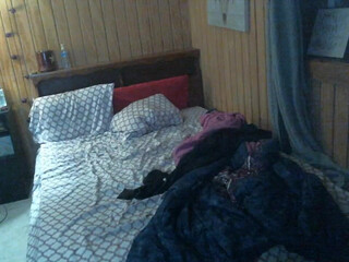 savageangel23 hot brunette posing in stockings