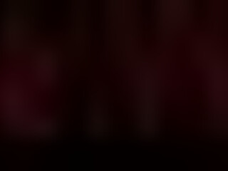 _echo_chambers_ Pretty lady