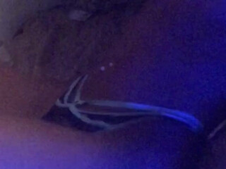 TS Aliyah Rose incredible shows off gorgeous boobs