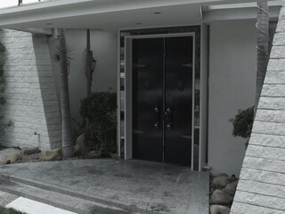 Riley_Steele Insatiable female