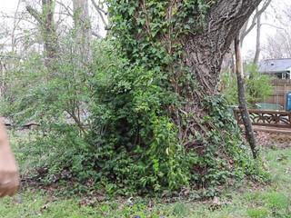 TgirlOneGuy Cool bitch