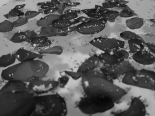 Princess_LeiaCM attractive slut is content with a rubber dick