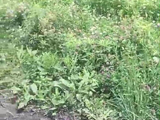 Luna_raise gorgeous girls dance completely naked