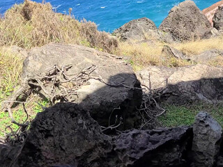 sheisatang current pussy