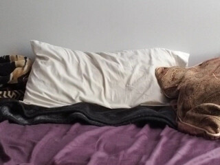 Izzy Wilde  lustful women are jerking their pussies with sex toys