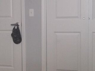 Izzy Wilde  Fishnet brunette