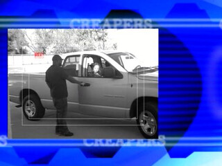 Cherokee D Ass cool babe with big tits