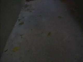 Cherokee D Ass crazy chick demonstrates sexy body