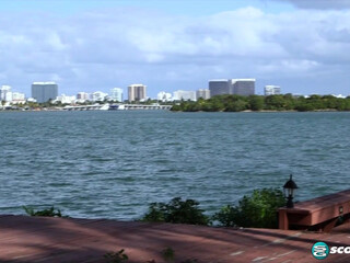 milly marks Decent kral