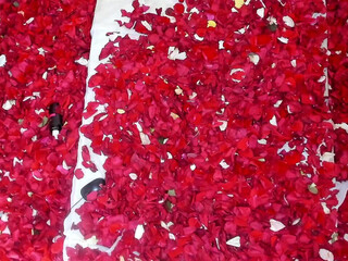 belahsadashi painted confused caresses shaved holes