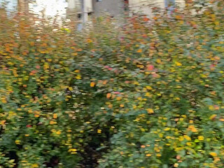 sexysabotage erotic insatiable nurse