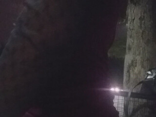 Paloma Veiga aka palomaveiga 30 November 2020