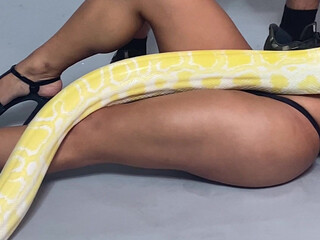 Jaslyn Lee aka tsjaslynlee jerking off my holes