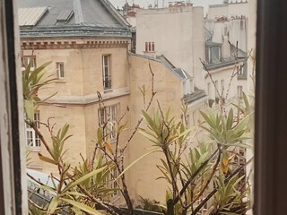 leolulu_xxx whore model pulls pussy