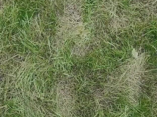 Lilu Moon beast exposed in private e