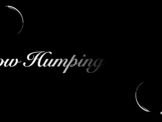 Miss Amina Rose 15 October 2020