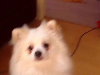 lillpio cute baby naughty in private e