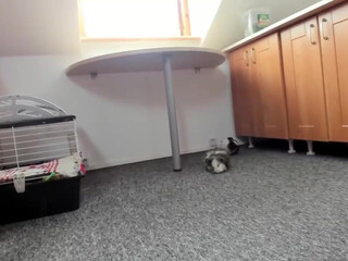 anabel054 20 May 2020