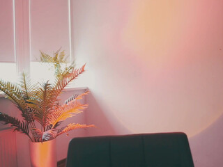 auddicted 22 july 2020