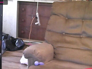 420damber16 young bitch caresses shaved holes