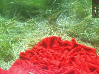 sexyfoxyred playing with a vibrator